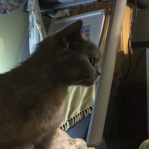 Meet your Posher, Ai